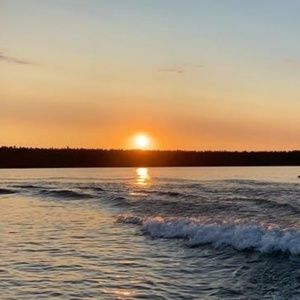 Meet your Posher, Taija